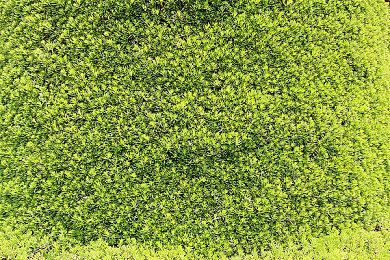 《双点博物馆》预告片介绍专家＆探险＆展览系统